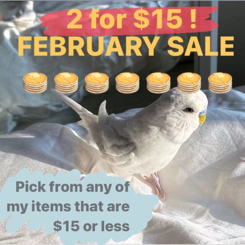 LAST DAY of Sale!